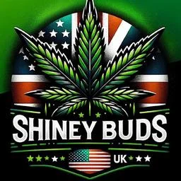 ShineyBuds